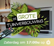 De grote tuinverbouwing