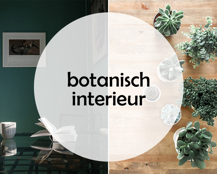 De beste lampen in het botanische interieur topic icon