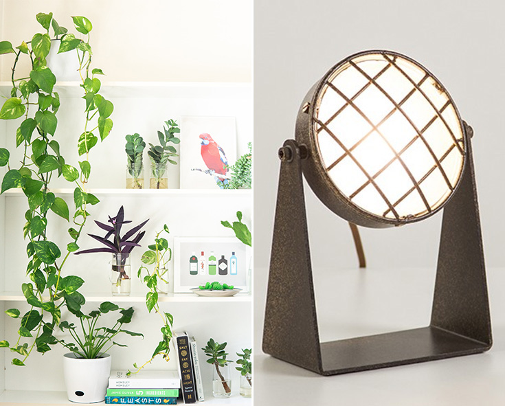 botanische verlichting botanische tafellampen