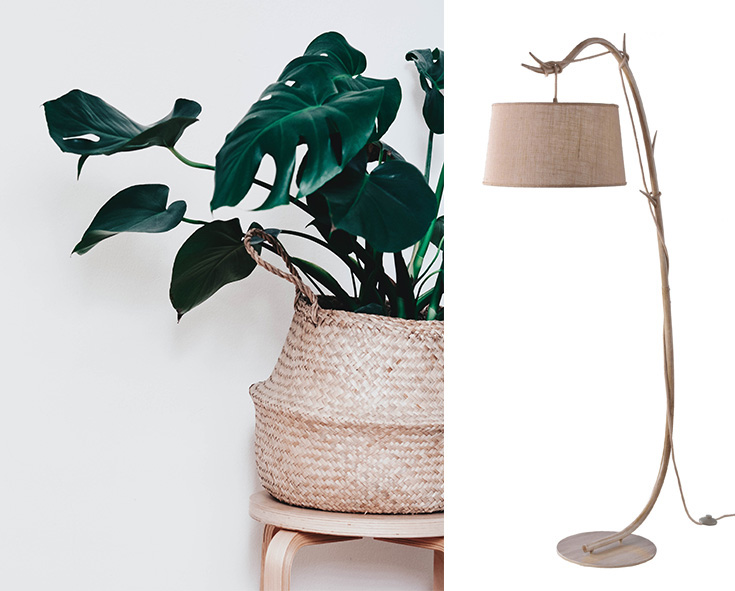 De beste lampen in botanische interieur |