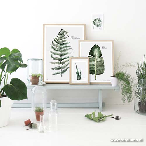 botanische verlichting botanische prints