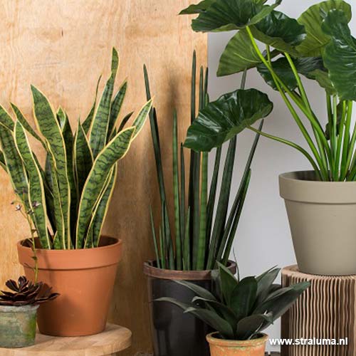 botanische verlichting kunstplanten