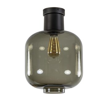 13760677 Grote plafondlamp smoke glas met mat zwart.jpg