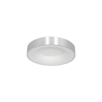 19771689 Zilveren LED plafondlamp rond 30cm.jpg