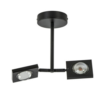 05320114 2 Lichts dimbare LED plafondspot verstelbaar.jpg