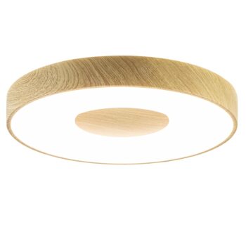 12900105 detail 1.jpg