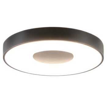 12900113 detail 1.jpg