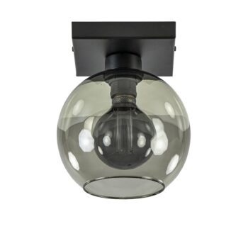 12480385 Kleine plafondlamp zwart met smoke glas 20cm.jpg