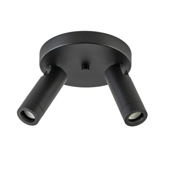 05320009 2Lichts plafondspot mat zwart met gouden accent.jpg