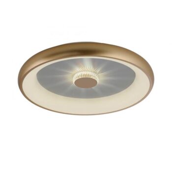 14230785 LED plafondlamp goud met kristaleffect.jpg