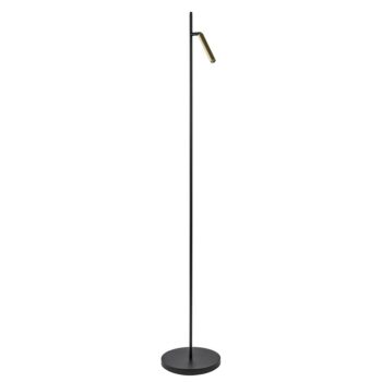13760817 Moderne LED vloerlamp zwart met gouden spot.jpg