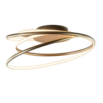 20210256 detail 1.jpg