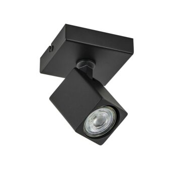 06132227 Plafondspot 1lichts zwart verstelbaar.jpg