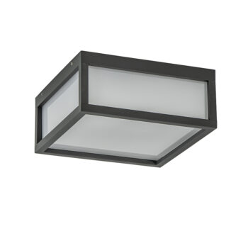 12900182 Vierkante buitenlamp dark grey plafond wand.jpg