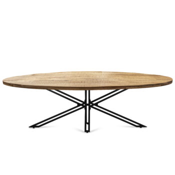 02730118 Tafel Mangohout 240x100cm.jpg