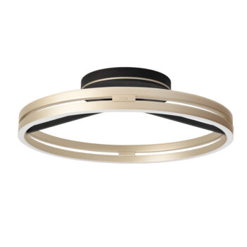 14230826 Plafondlamp Loop Goud zwart.jpg