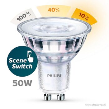 13104684 detail 1.jpg