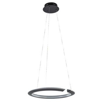 02030014 Hanglamp zwarte ring met geintegreerd LED.jpg