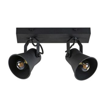 02820237 Industriele 2lichts plafondspot mat zwart.jpg