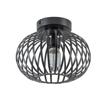 06132028 Kleine draad plafondlamp zwart hal toilet.jpg