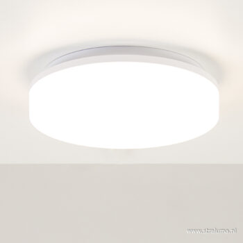 08451701 detail 1.jpg