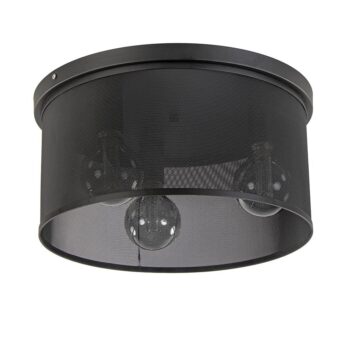 12480224 Industriele plafondlamp met gaaskap.jpg