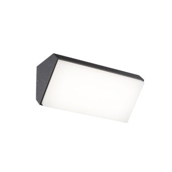 12900059 Horizontale LED buitenlamp IP65 antraciet.jpg