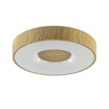 12900116 Ronde LED plafonniere met houtlook inclusief remote.jpg
