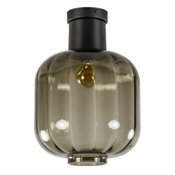 13760516 Zwart glazen plafondlamp luxury.jpg