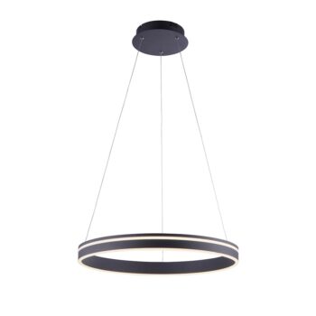 14230608 Smart hanglamp ring 60cm antraciet.jpg