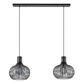 18700008 2Lichts hanglamp met mat zwarte draad kappen.jpg