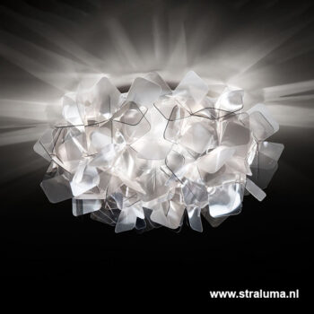 19000007 detail1 .jpg