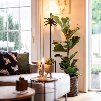 12211135 detail sfeer.jpg