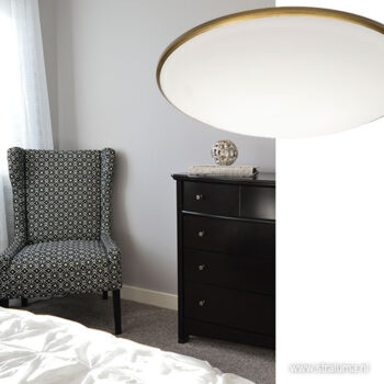 08451118 detail4.jpg