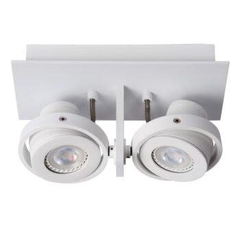 12700170 2Lichts opbouwspot wit dim to warm LED.jpg