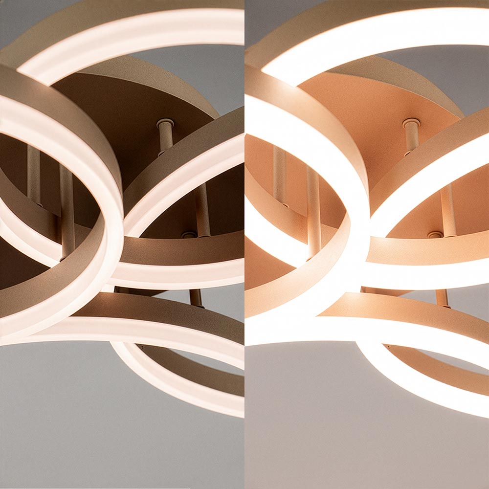 07500039 detail 2 1.jpg