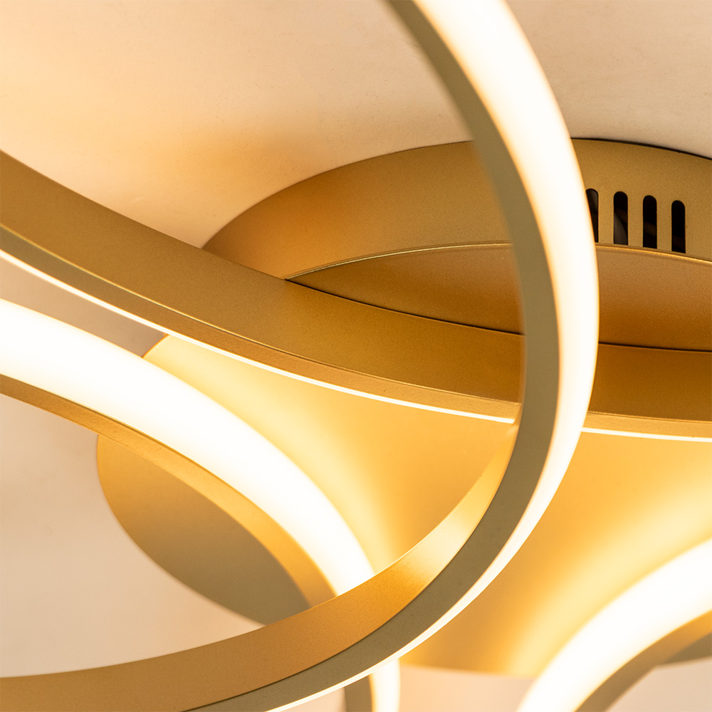 11200035 detail 3.jpg