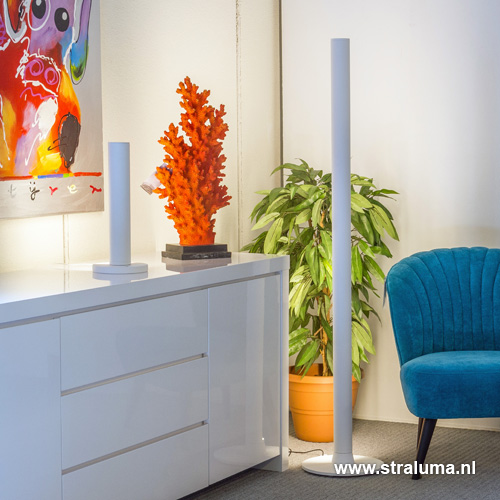 12700095 detail4 .jpg