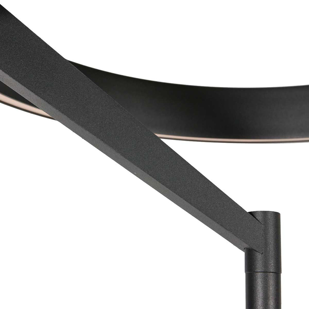 19771769 detail 3.jpg