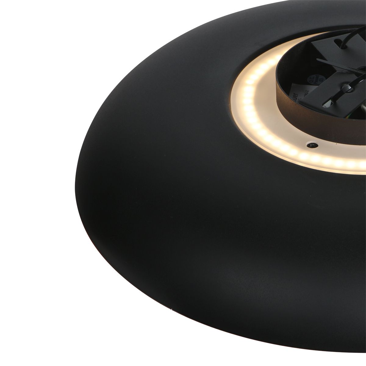 19771782 detail 2 2.jpg