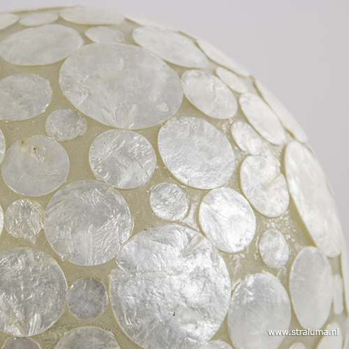 22050067 detail 3 1.jpg