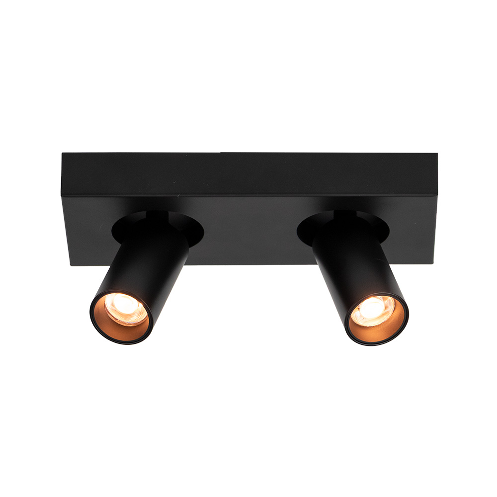 08452275 Plafondspot 2L Zwart.jpg