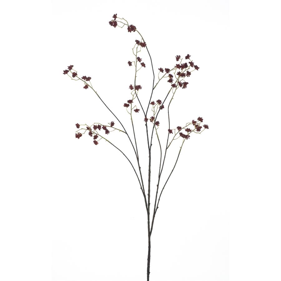 09900027 tak gypso.jpg