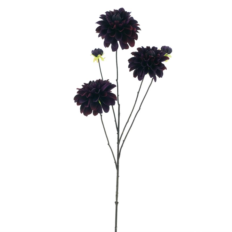 09900030 dahlia burgundy.jpg