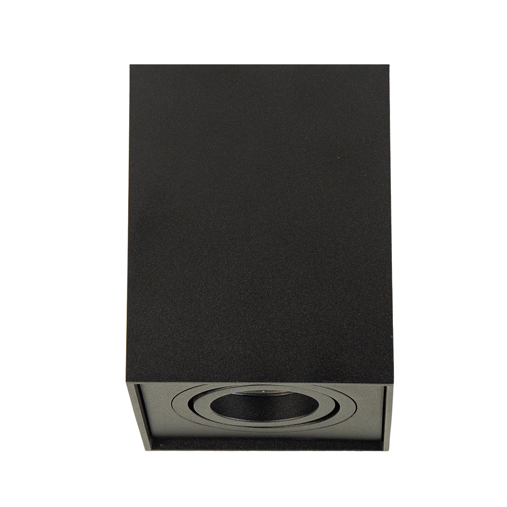 13600028 Plafondlamp Zwart.jpg