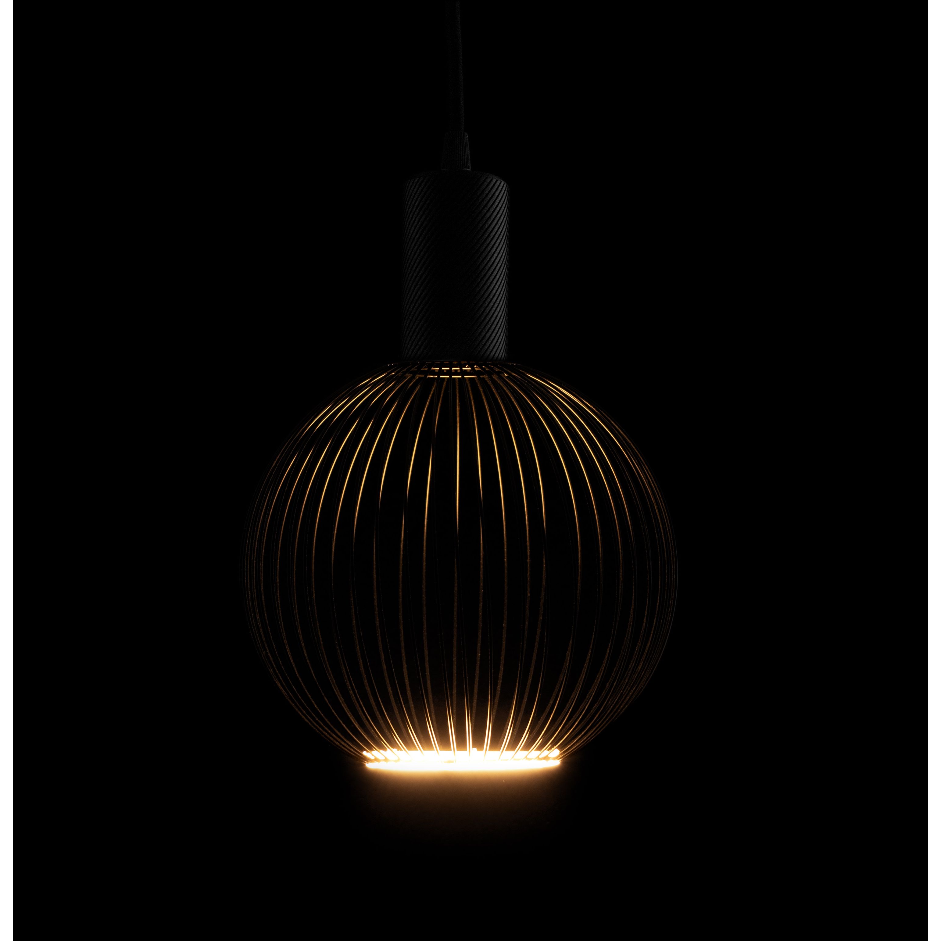 17300027 segula filo black 18 aan.jpg