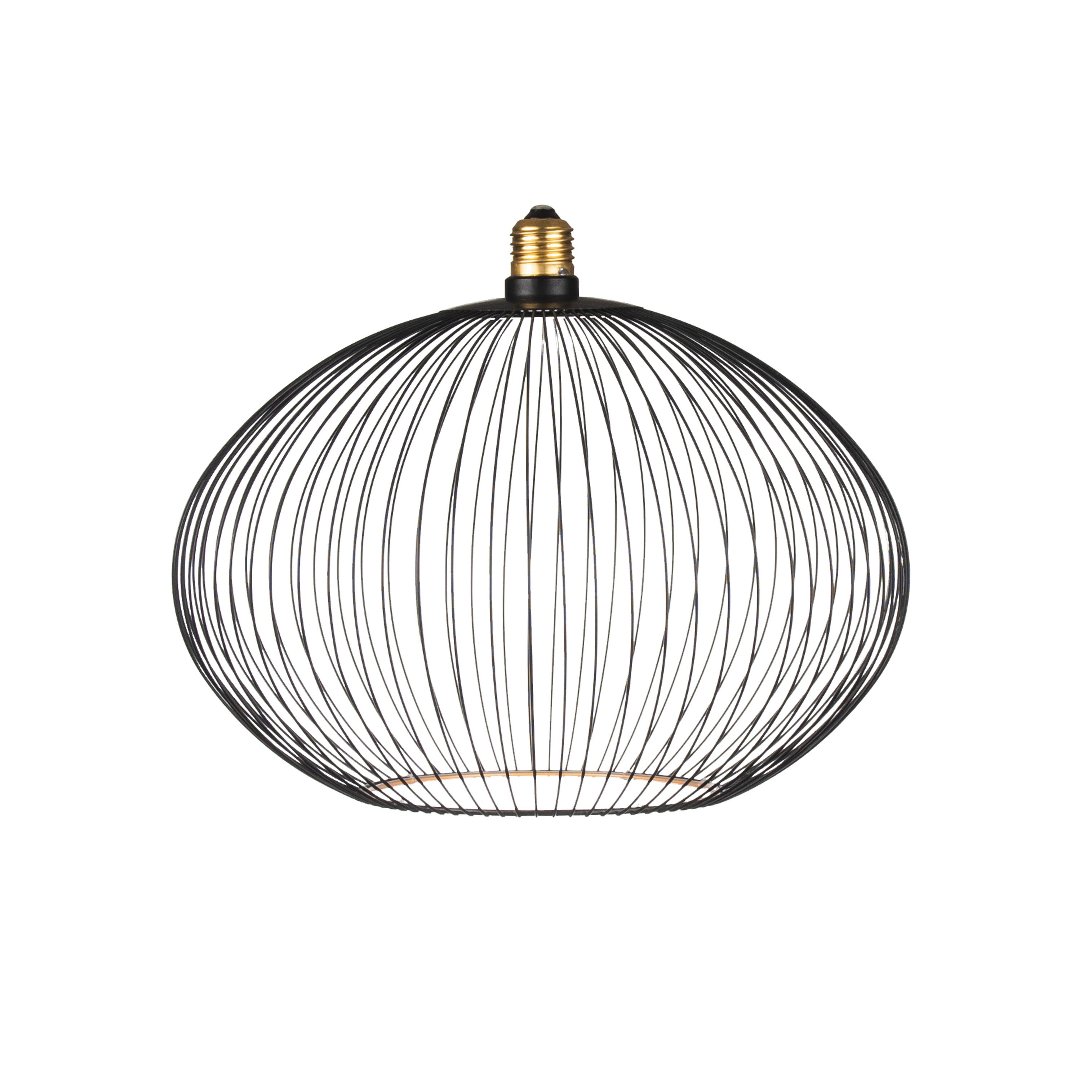 17300029 segula filo black oval.jpg