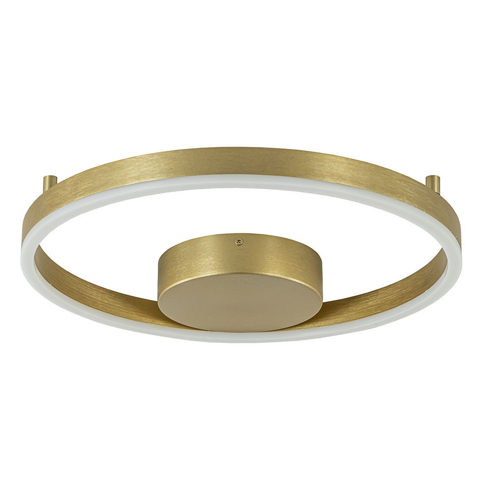 19771749 Design LED plafond wandlamp ring goud.jpg