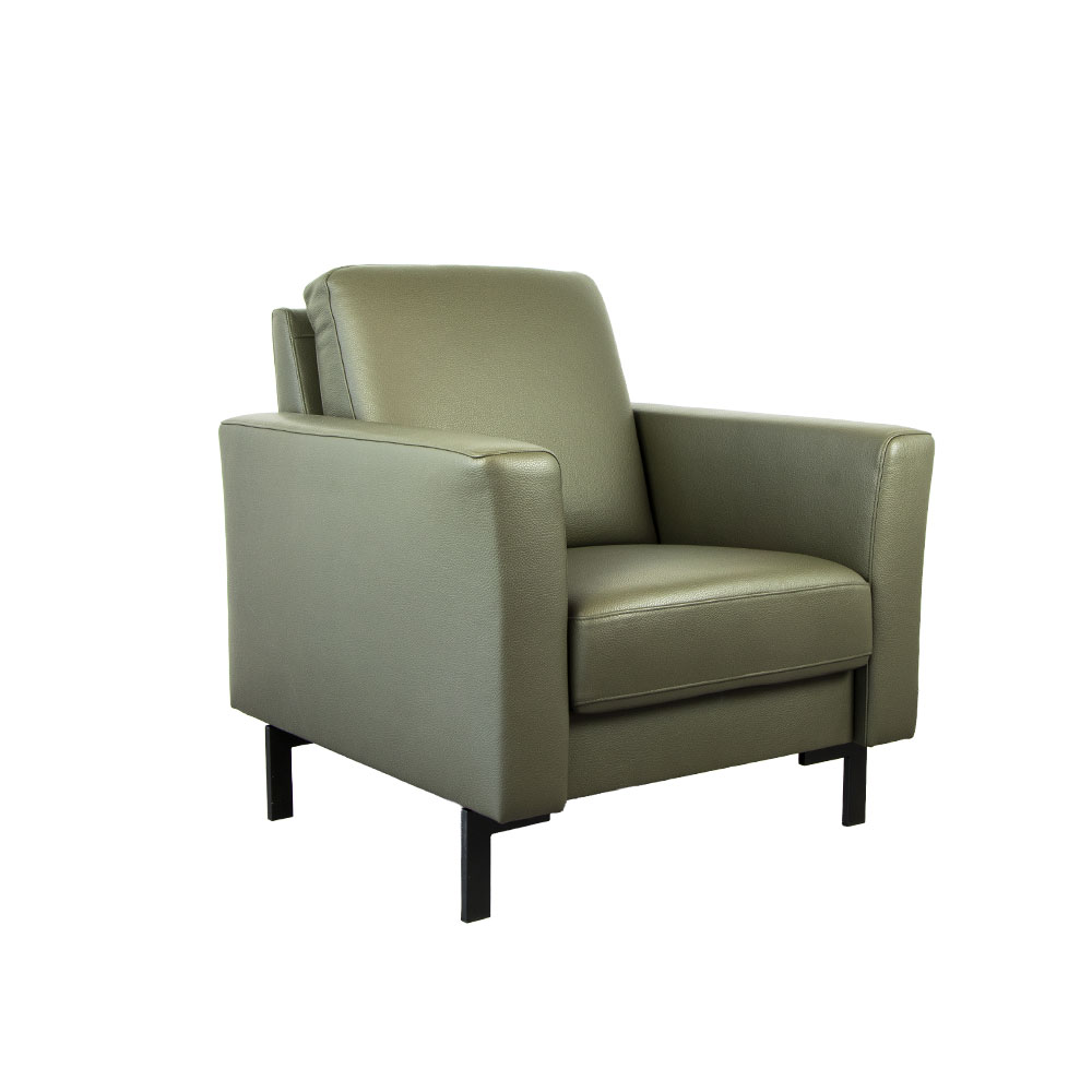 04650001 fautieul groen leer.jpg