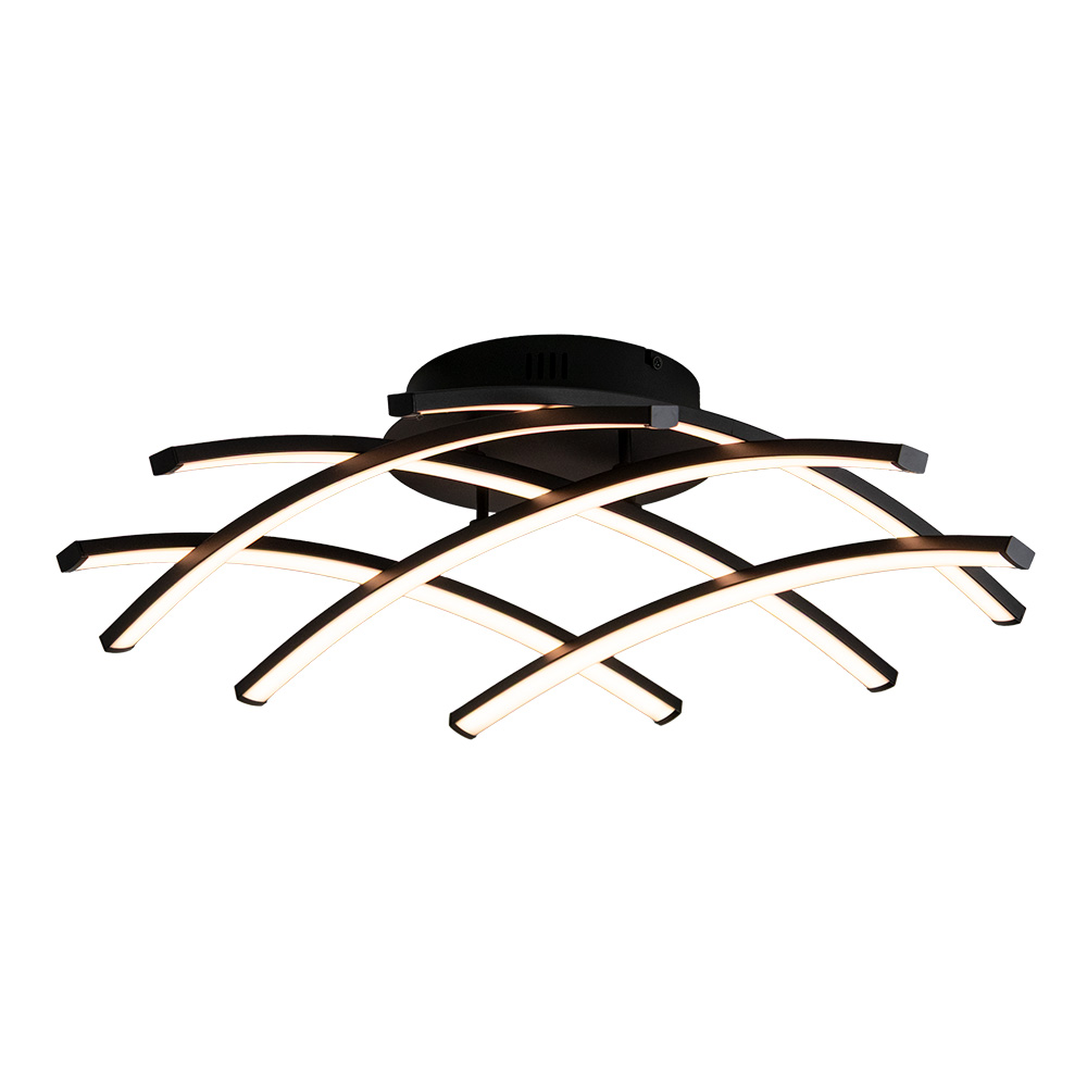 02030064 Plafondlamp zwart.jpg